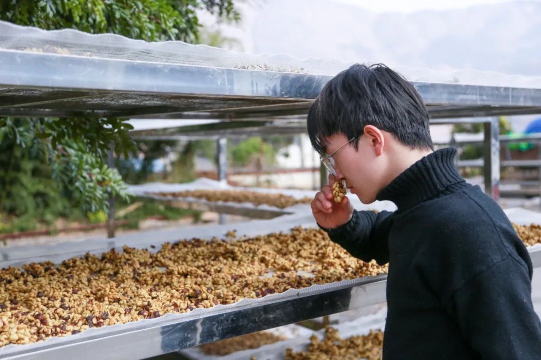 雙金閃耀！云南經濟管理學院兩個項目在中國國際大學生創(chuàng)新大賽（2023）中斬獲金獎！ 第 7 張