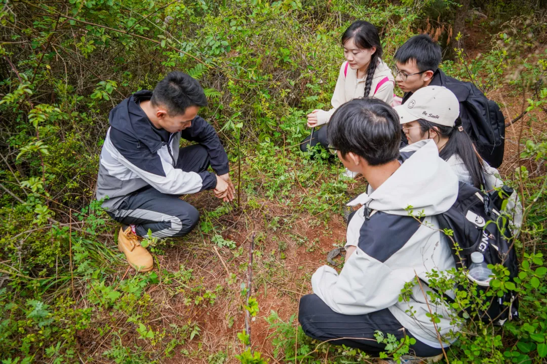 把課堂搬進(jìn)山間，他們還帶回來(lái)這些東西... 第 8 張